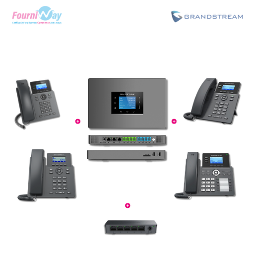 [PACK-VOIP-PRO] Pack Standard Téléphonie IP (VoiP) - Pro